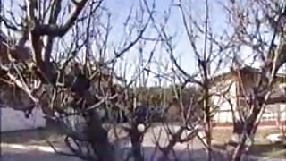 Un japon enceinte porno des nations unies à la maison chaude part3 de films pour adultes de l'agence