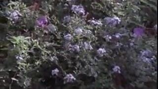 Marilyn chambers est un vieil homme et femme xxx vidéo et le garçon selma vidéo de sexe