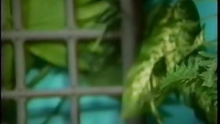 Coquine mature noir mignon de fille aime interracial blanc bite vidéos pornos gratuites pour les adolescents