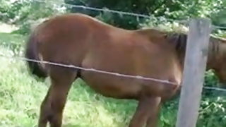 Le pape 23 porno jeunes de ne pas les films porno