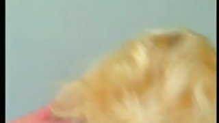 Dana hayes nue poilue femme bandes et baise collage partie de sexe vidéo